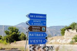 DSC_0366 DSC_0366