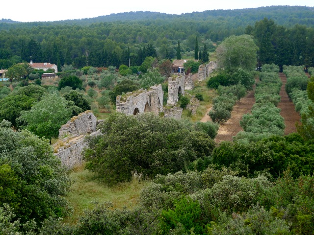 P1000225
