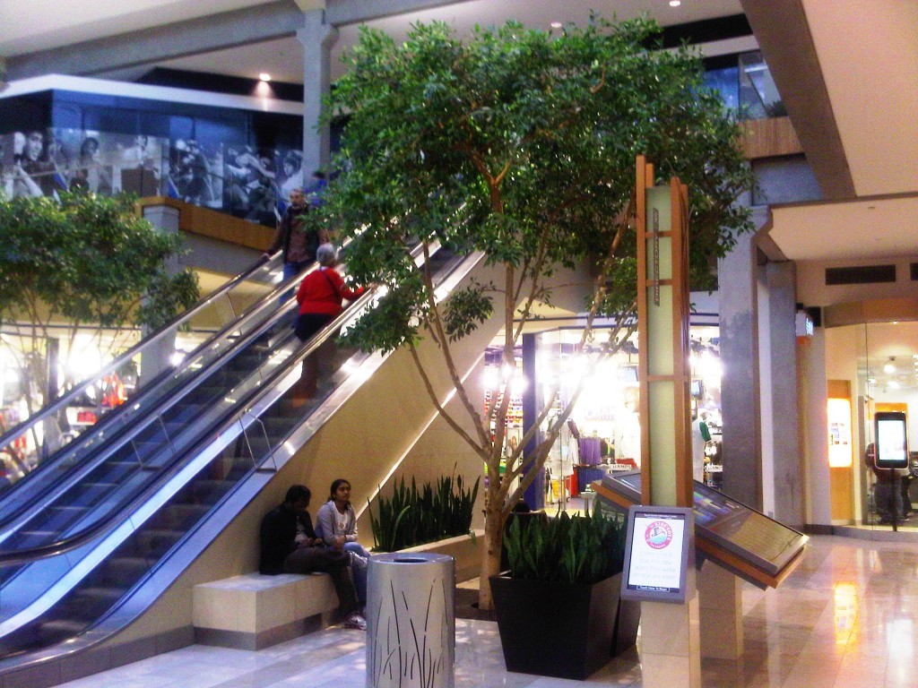IMG00067-20100221-1730