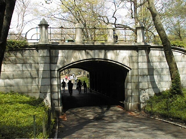 Image19