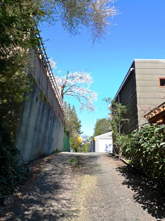 P1000800