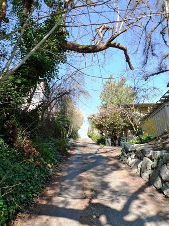 P1000801