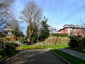 P1000834