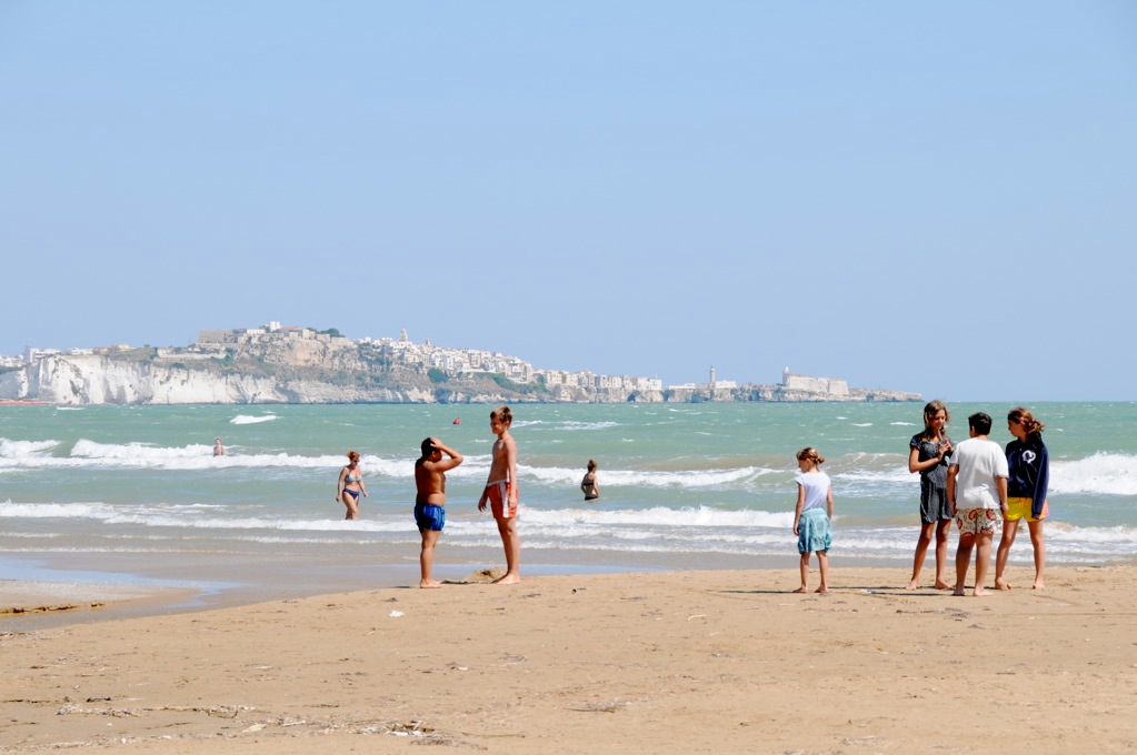 “waiting for the aqua-urban” and other shoreline tales