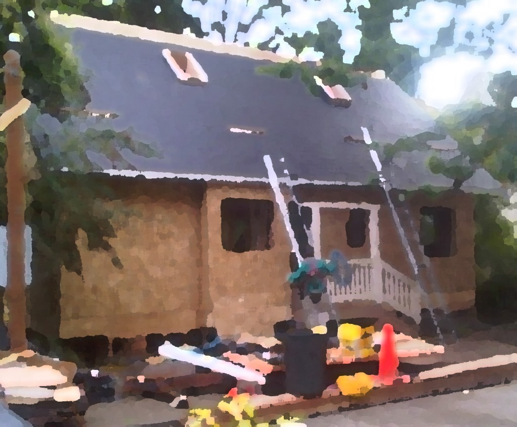 incremental placemaking: the urban cottage grows