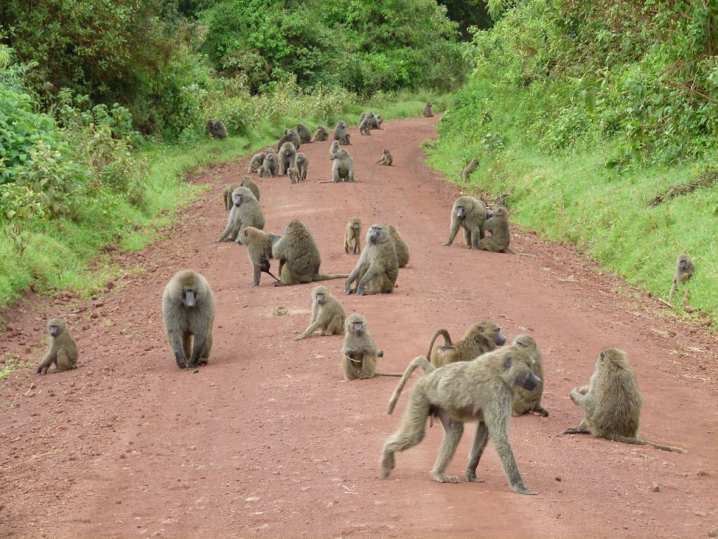 transportation and land use, evolution and evaluation