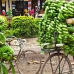 GettingAroundAfrica_ChuckWolfe01