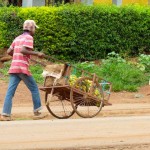 GettingAroundAfrica_ChuckWolfe06