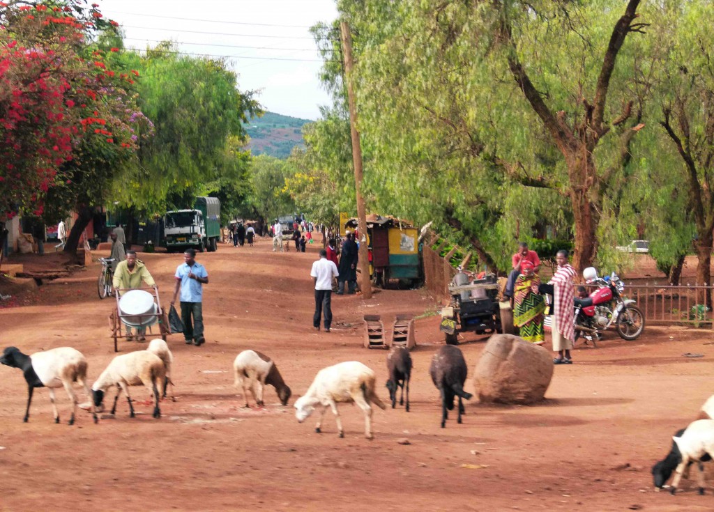 KaratuCorner_ChuckWolfe