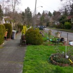 CurbsideEclecticism_ChuckWolfe03