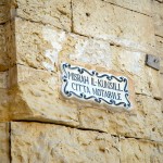DSC_0154.JPG