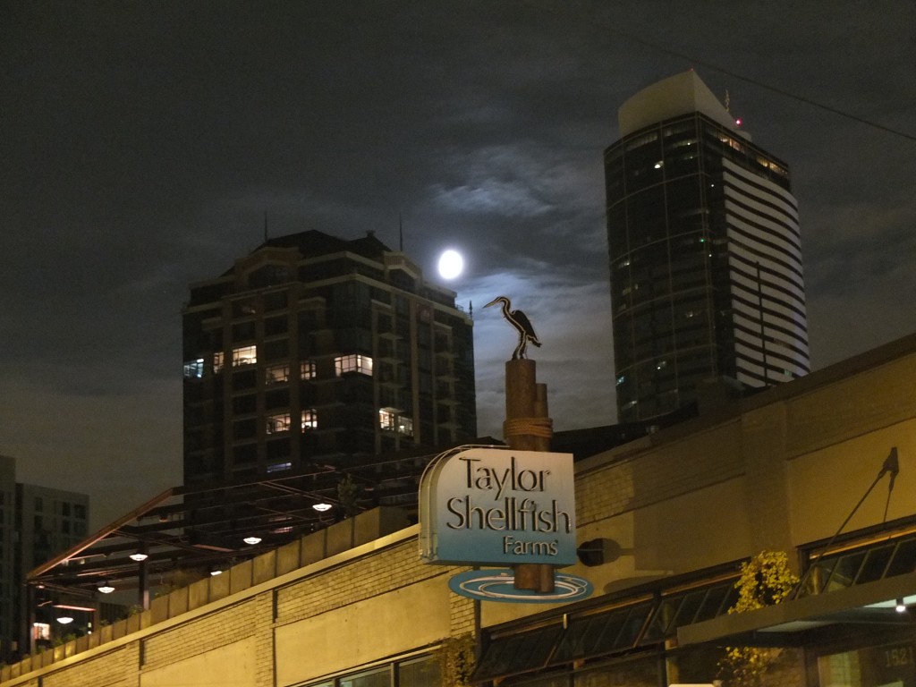 MelroseSeattleNIght_ChuckWolfe © 2009-2013 myurbanist All Rights Reserved