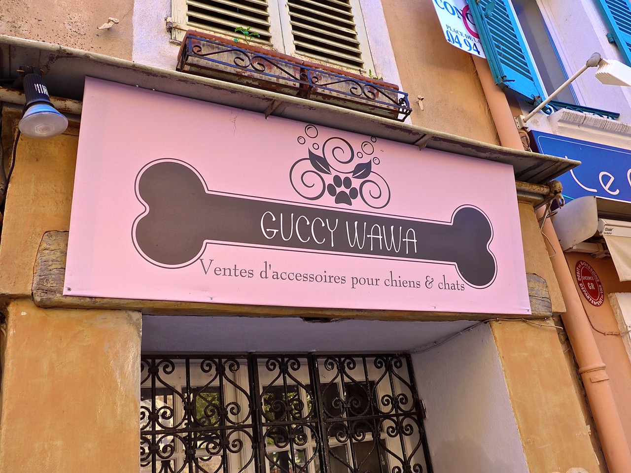 DogEquity_ChuckWolfe2